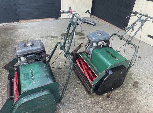 Allett buffalo 24 cut - allett,