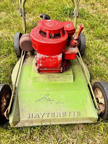 Hayter hayterette petrol push - petrol,